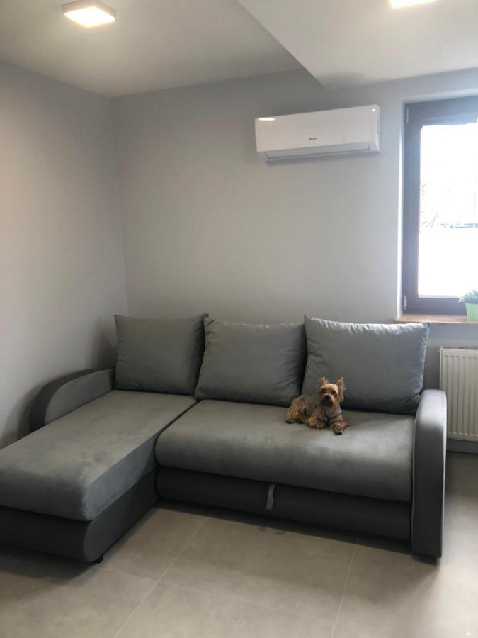 Klimatyzowane Apartamenty I Pokoje Przy Targach Kielce Ngoại thất bức ảnh