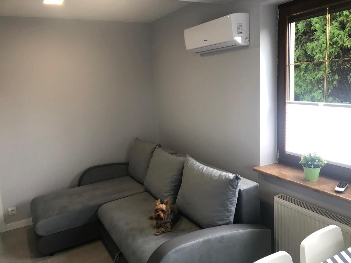 Klimatyzowane Apartamenty I Pokoje Przy Targach Kielce Ngoại thất bức ảnh